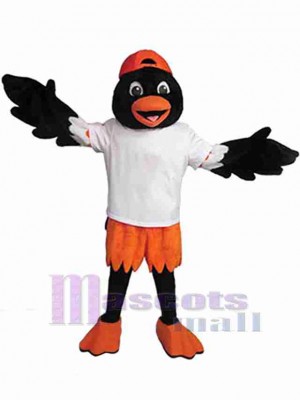 Precioso pájaro negro y naranja Disfraz de mascota Animal