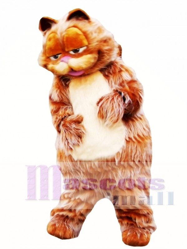 Adorable gato Garfield Disfraz de mascota