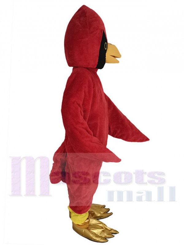 Pájaro cardenal disfraz de mascota