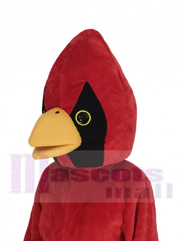 Pájaro cardenal disfraz de mascota