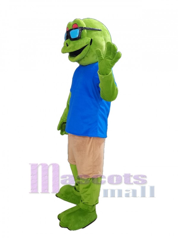 Rana disfraz de mascota