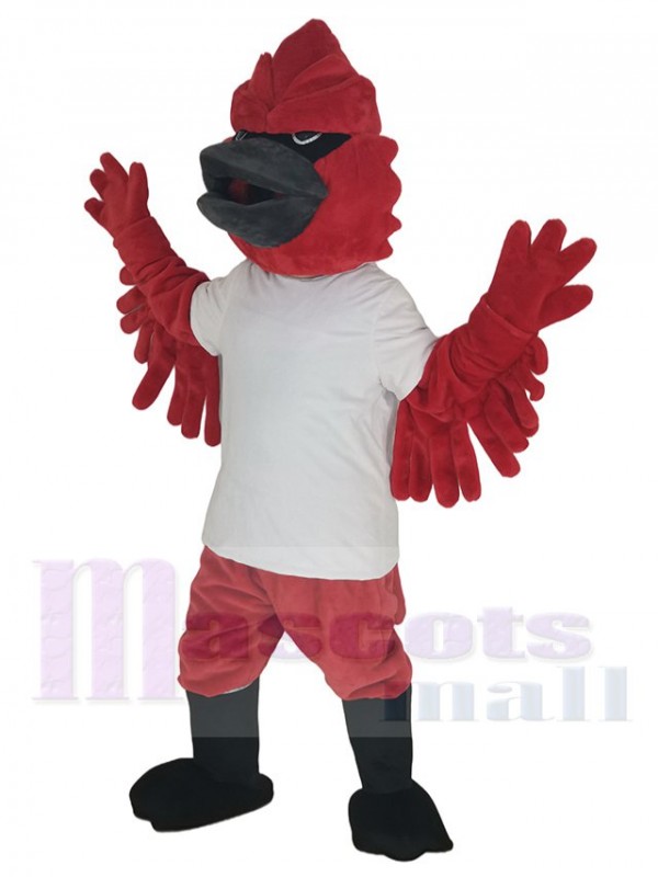 Cardenal disfraz de mascota