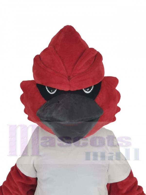 Cardenal disfraz de mascota