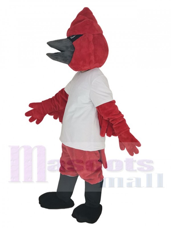 Cardenal disfraz de mascota