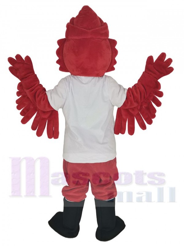 Cardenal disfraz de mascota