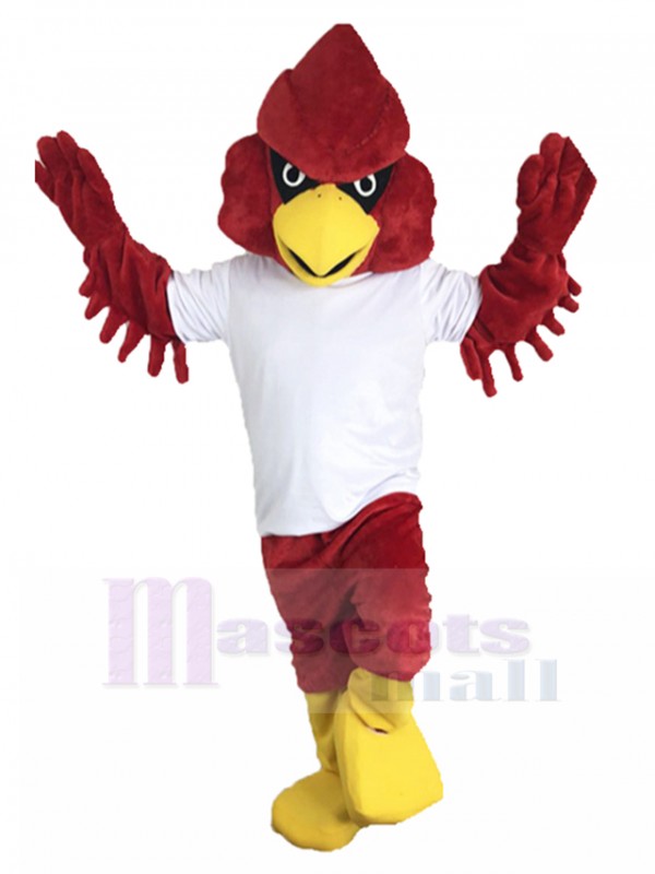 Cardenal disfraz de mascota