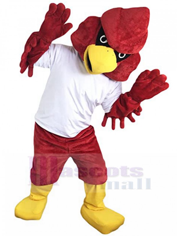 Cardenal disfraz de mascota