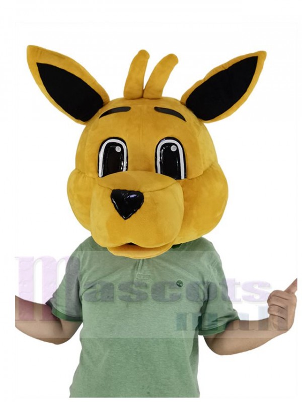 Canguro disfraz de mascota