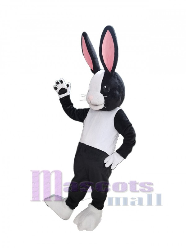 Conejo de Pascua disfraz de mascota