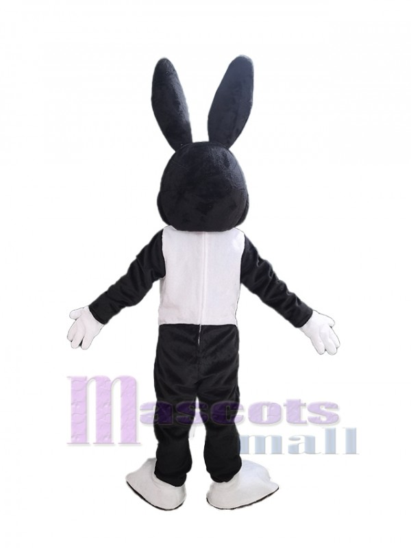 Conejo de Pascua disfraz de mascota