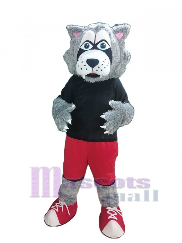 Lobo disfraz de mascota