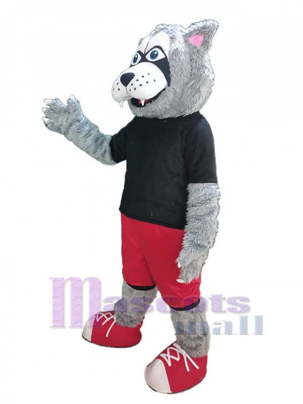 Lobo disfraz de mascota