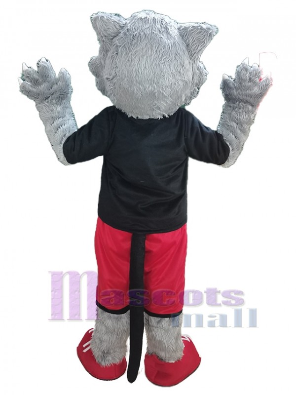 Lobo disfraz de mascota