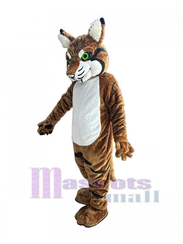 Gato montés disfraz de mascota