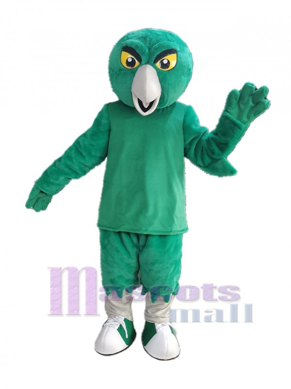 Búho disfraz de mascota