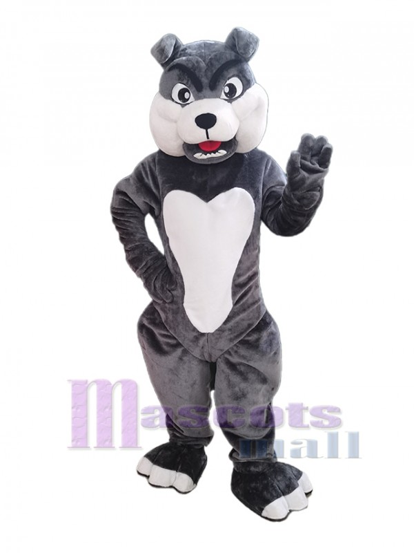 Perro disfraz de mascota