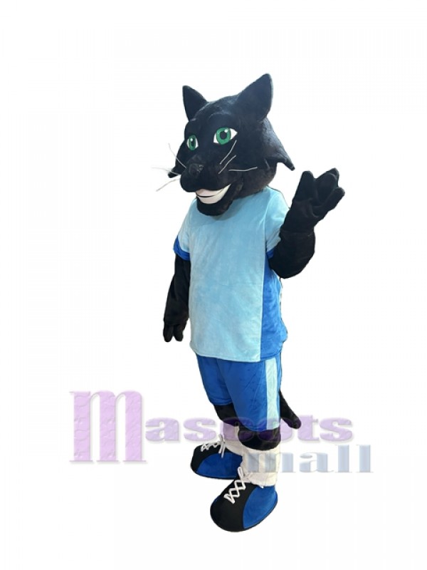 Gato disfraz de mascota