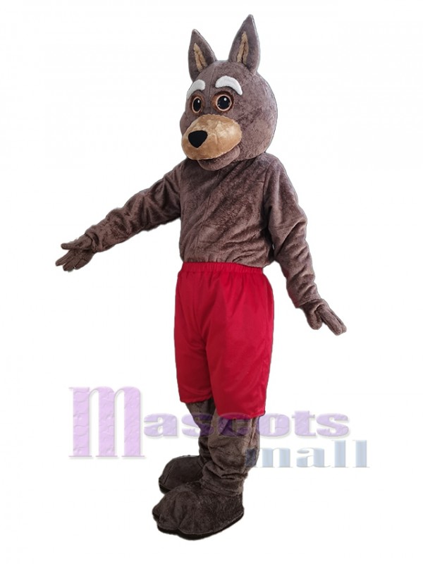 Coyote disfraz de mascota