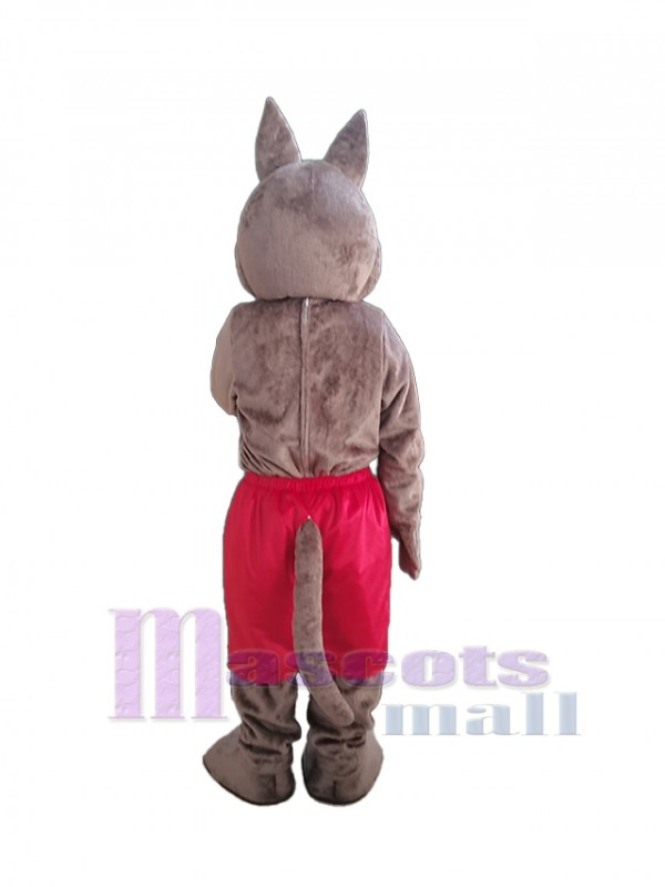 Coyote disfraz de mascota