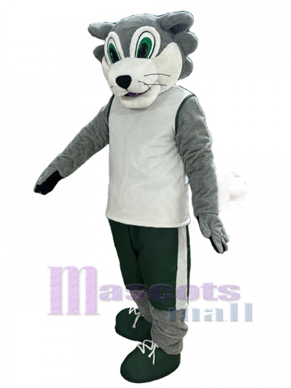 Lobo disfraz de mascota
