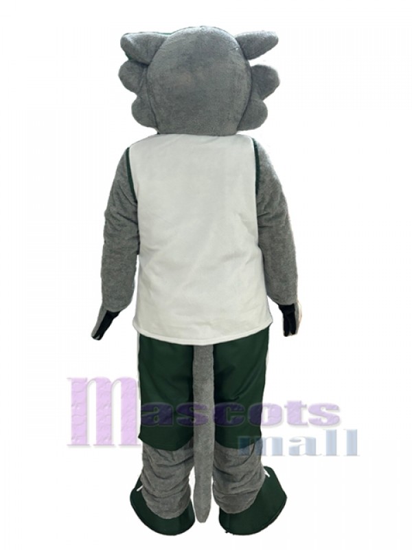 Lobo disfraz de mascota