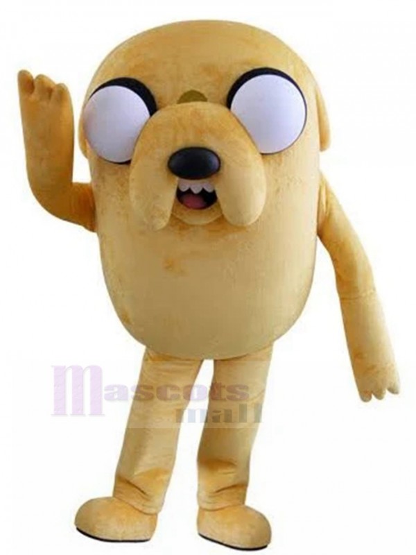 Perro disfraz de mascota