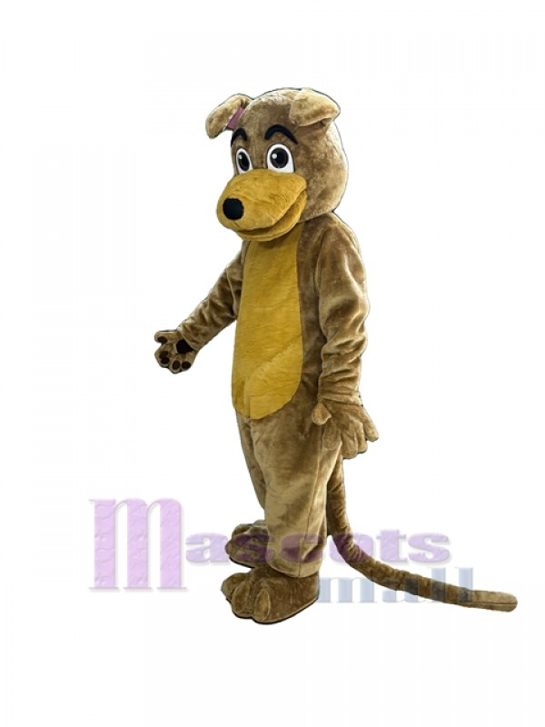Perro disfraz de mascota