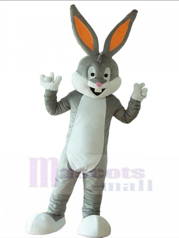 Conejo disfraz de mascota