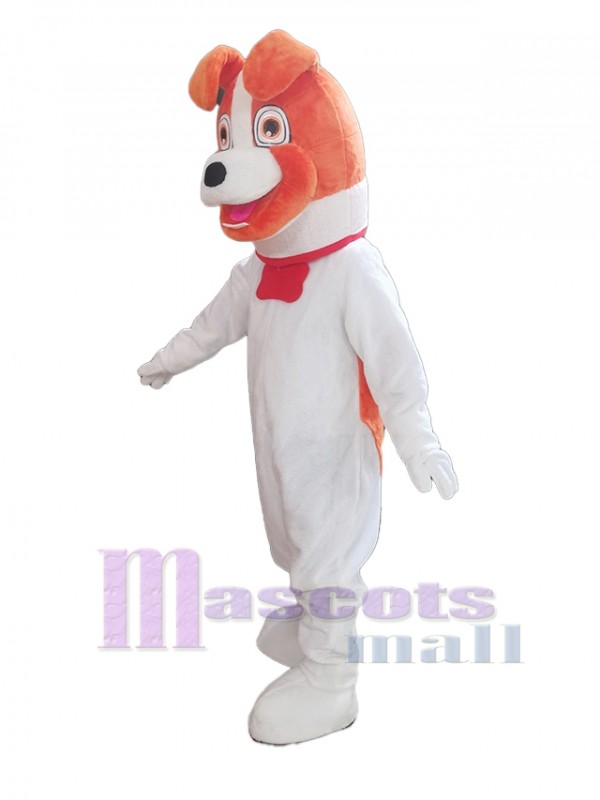 Perro disfraz de mascota