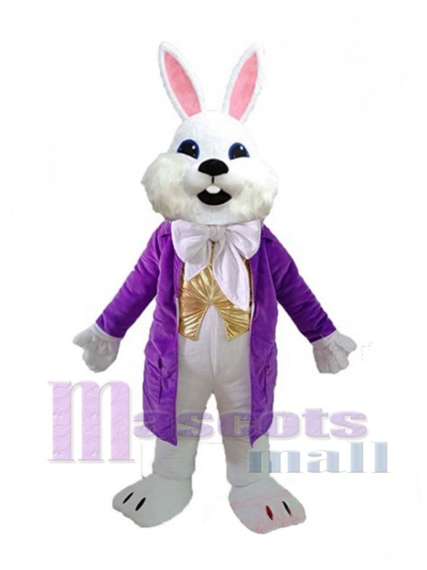 Conejo de Pascua disfraz de mascota