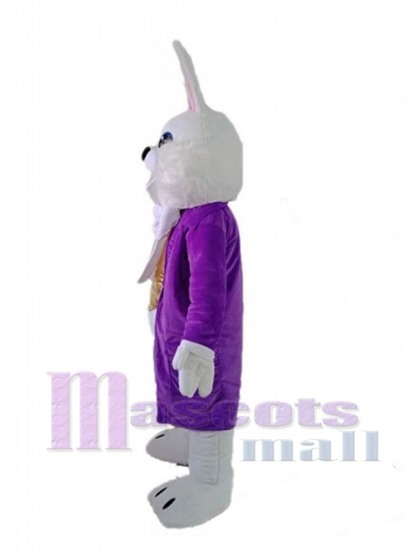 Conejo de Pascua disfraz de mascota