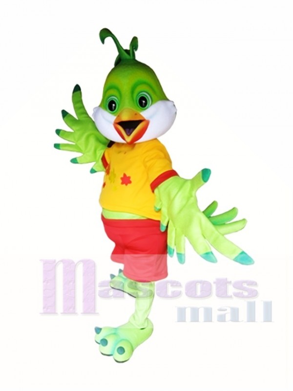 Pajaro verde Disfraz de mascota