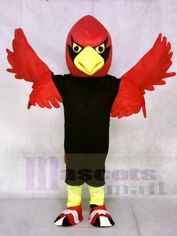 Cardenal rojo Disfraz de mascota