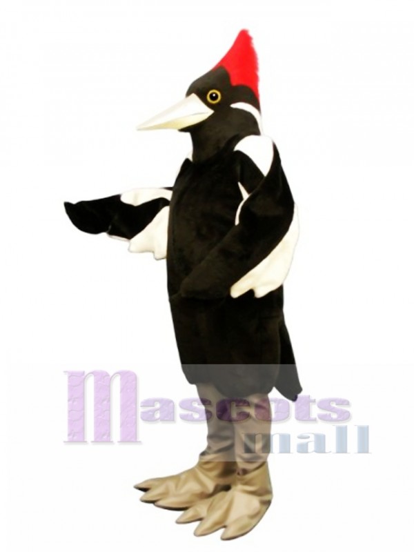 Carpintero de pico marfil lindo Disfraz de mascota