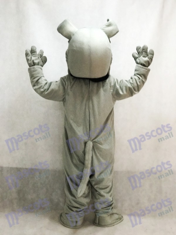 Perro Disfraz de mascota