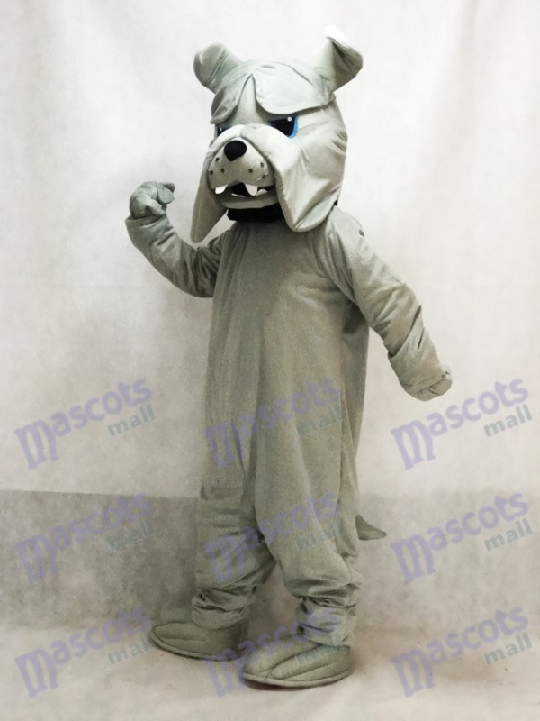 Perro Disfraz de mascota