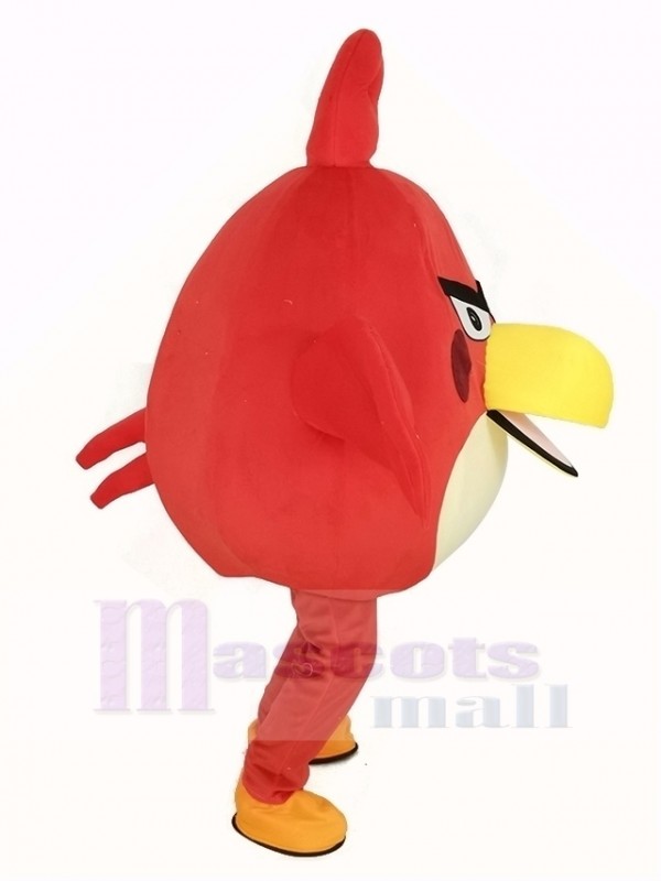 Pajaro disfraz de mascota