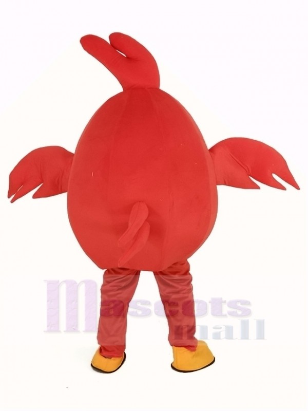 Pajaro disfraz de mascota