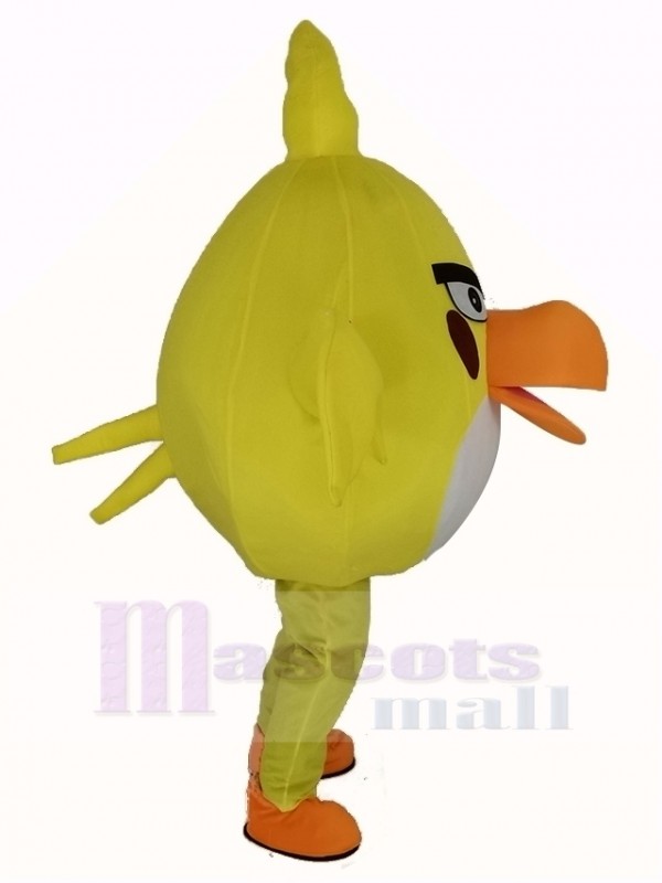 Pájaro disfraz de mascota