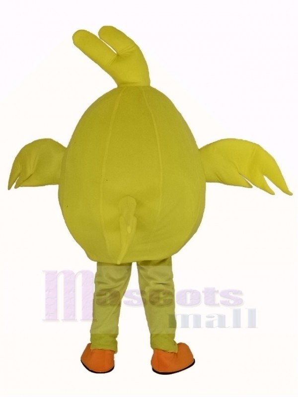 Pájaro disfraz de mascota
