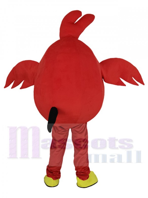 Pájaro enojado rojo disfraz de mascota