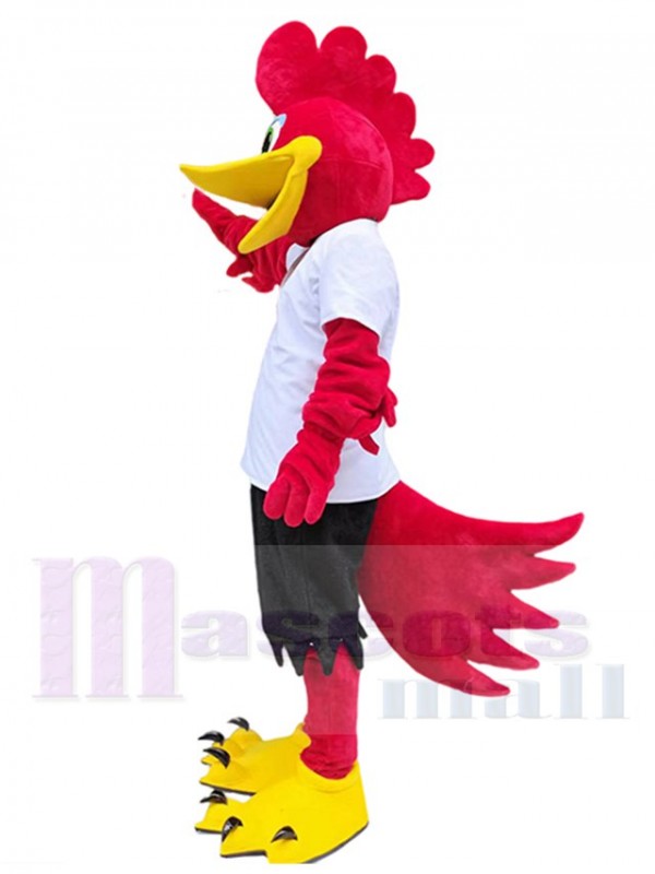 Pájaro disfraz de mascota