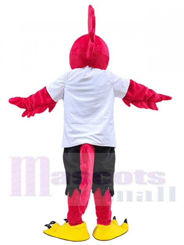 Pájaro disfraz de mascota