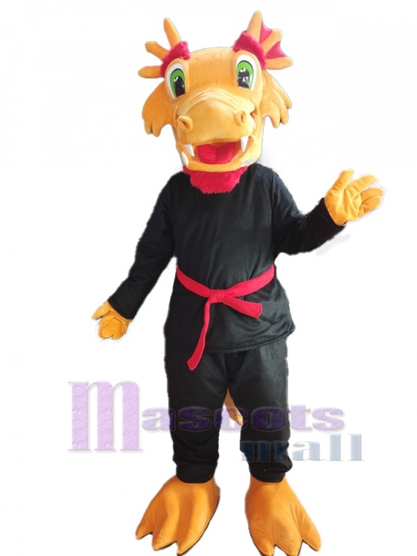Continuar disfraz de mascota