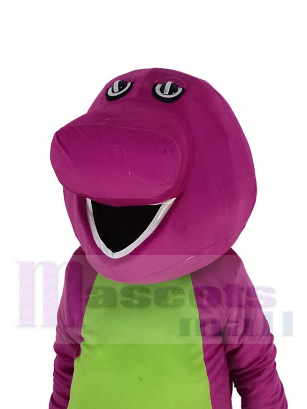 Dinosaurio disfraz de mascota