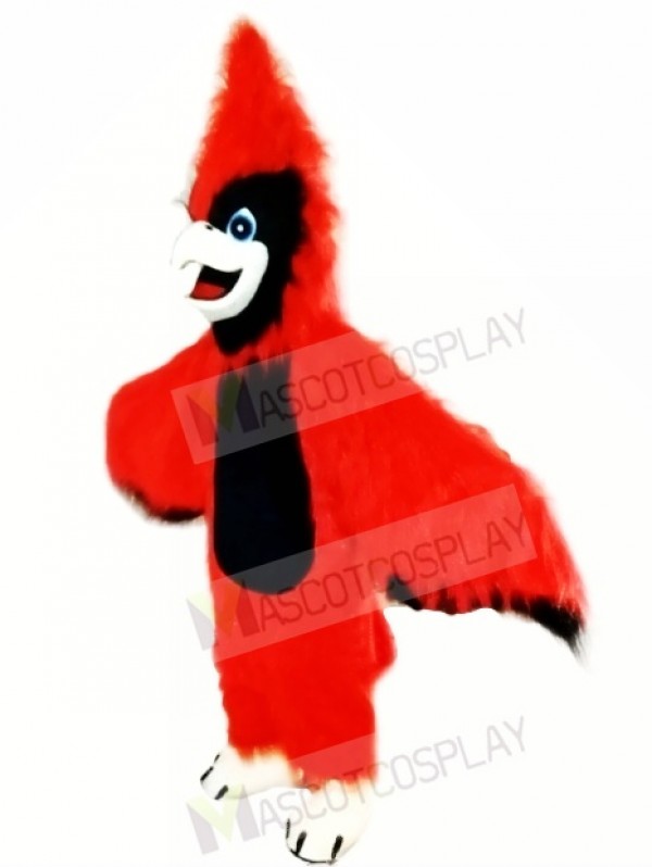 Nuevo gran cardenal rojo Disfraz de mascota