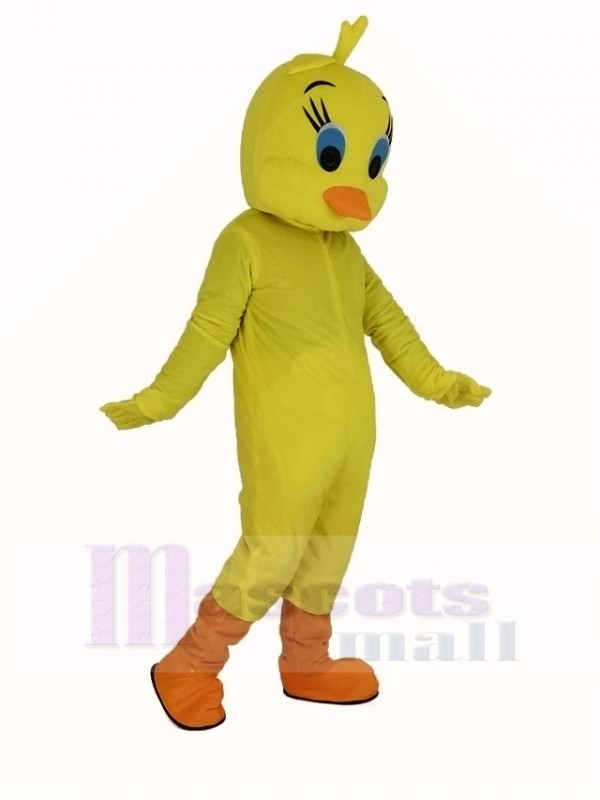 Pájaro disfraz de mascota