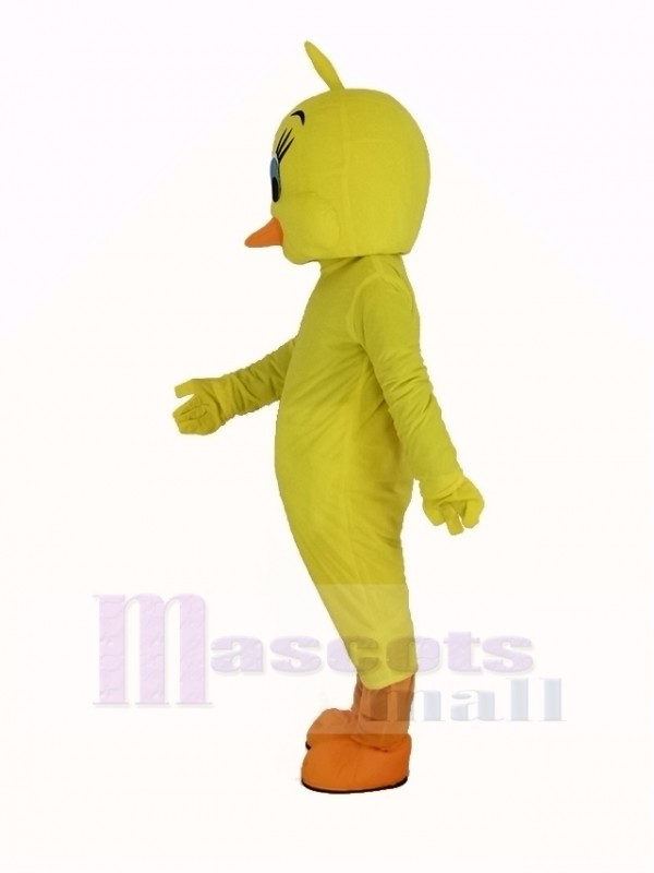 Pájaro disfraz de mascota