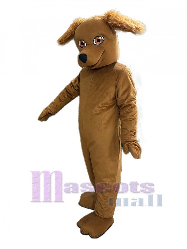 Perro disfraz de mascota
