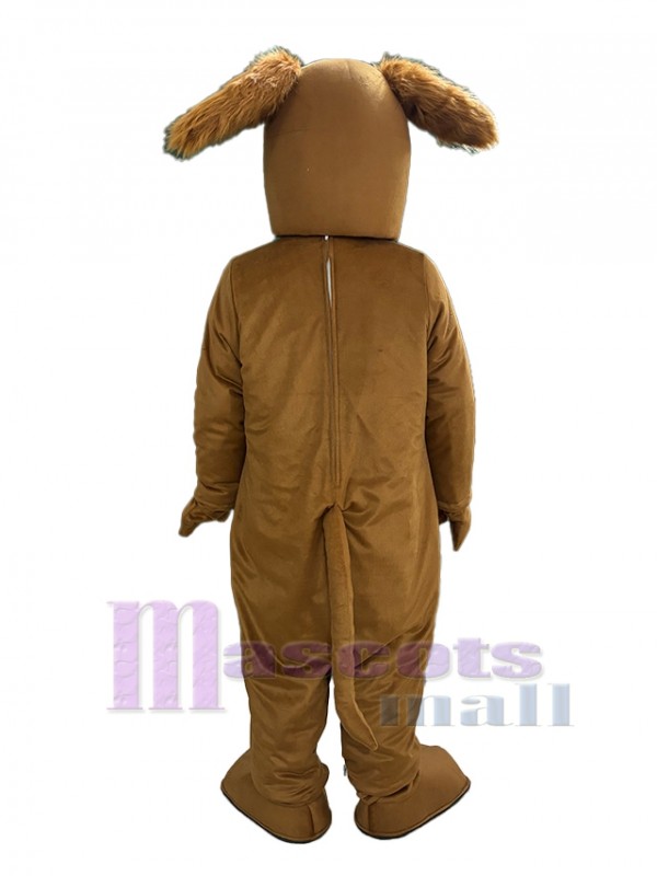 Perro disfraz de mascota